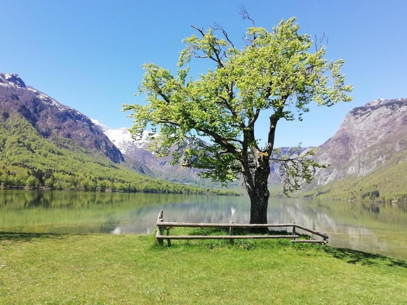 Apartment Mlakar Bohinj Dış mekan fotoğraf