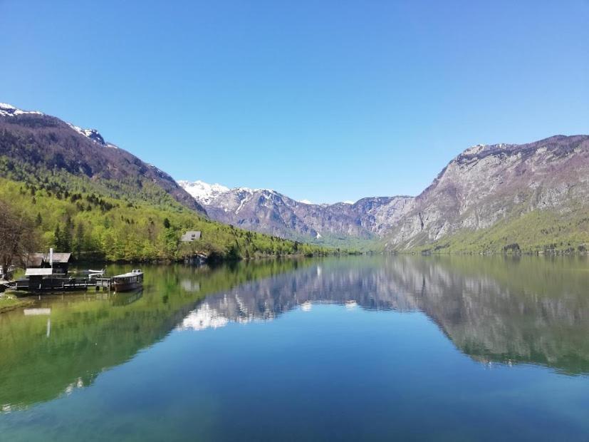 Apartment Mlakar Bohinj Dış mekan fotoğraf
