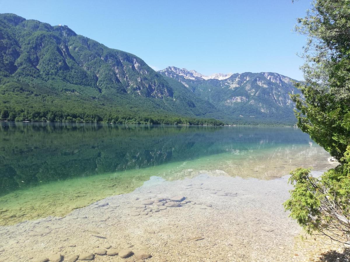 Apartment Mlakar Bohinj Dış mekan fotoğraf