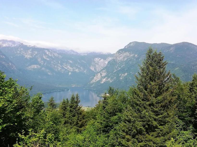 Apartment Mlakar Bohinj Dış mekan fotoğraf