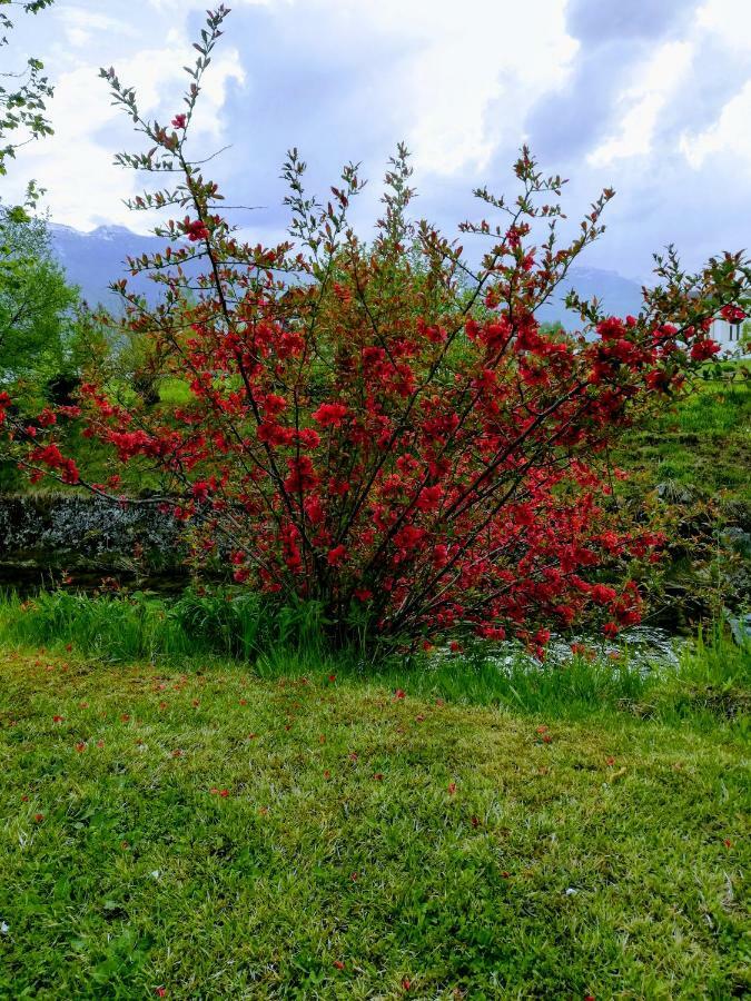 Apartment Mlakar Bohinj Dış mekan fotoğraf