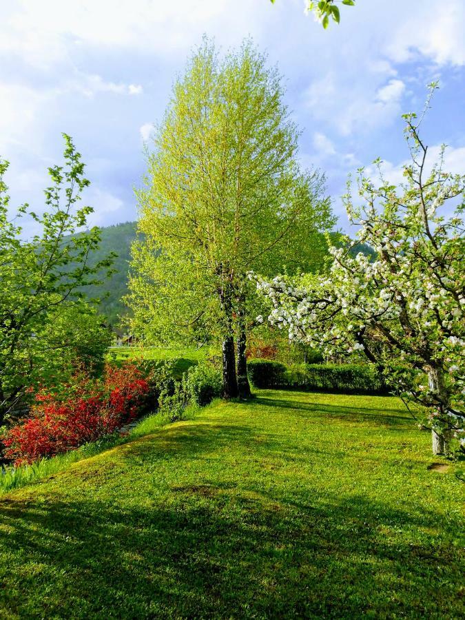 Apartment Mlakar Bohinj Dış mekan fotoğraf