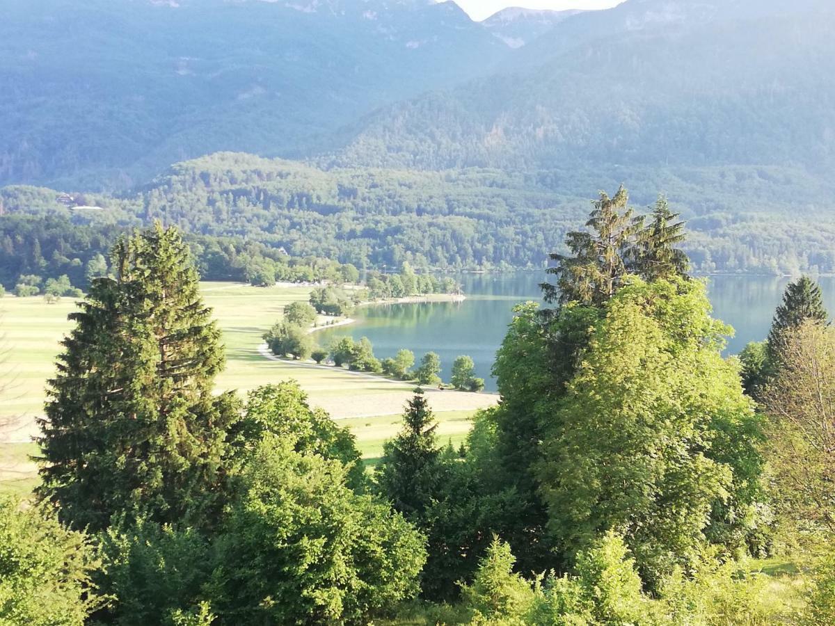 Apartment Mlakar Bohinj Dış mekan fotoğraf
