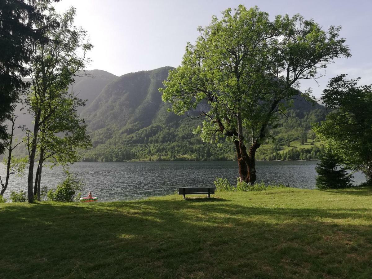 Apartment Mlakar Bohinj Dış mekan fotoğraf