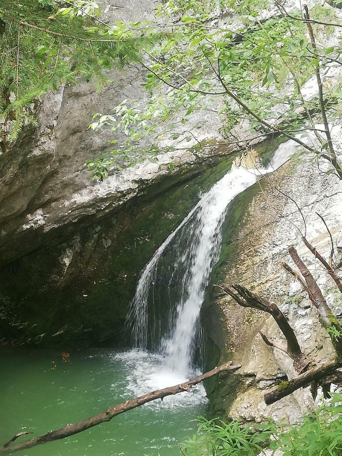 Apartment Mlakar Bohinj Dış mekan fotoğraf