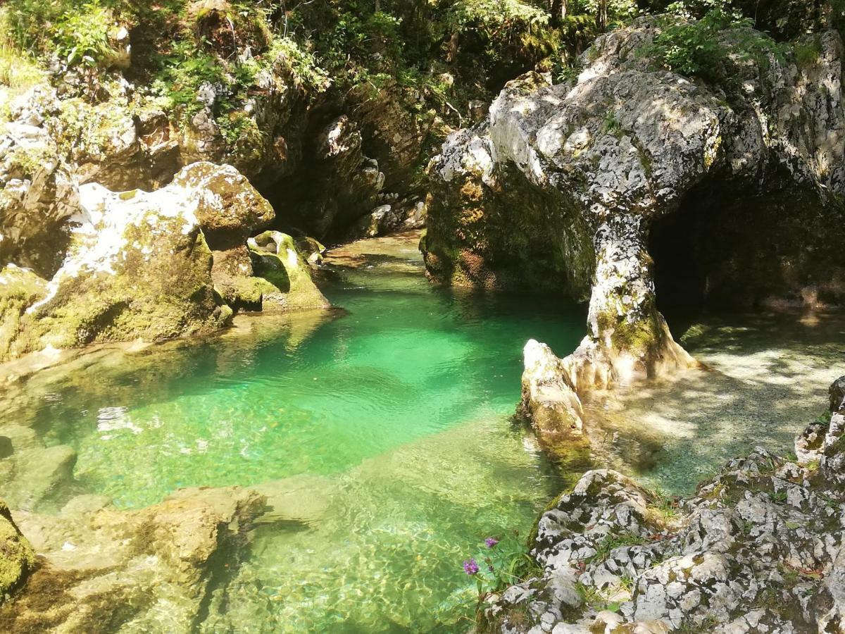Apartment Mlakar Bohinj Dış mekan fotoğraf