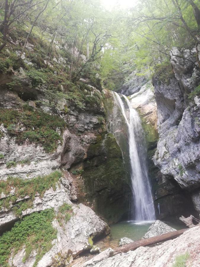 Apartment Mlakar Bohinj Dış mekan fotoğraf